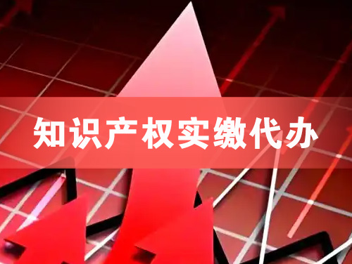 黄南知识产权实缴资本代办